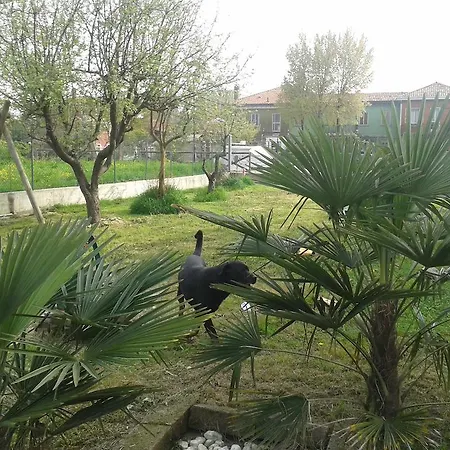 Bagigiogrill